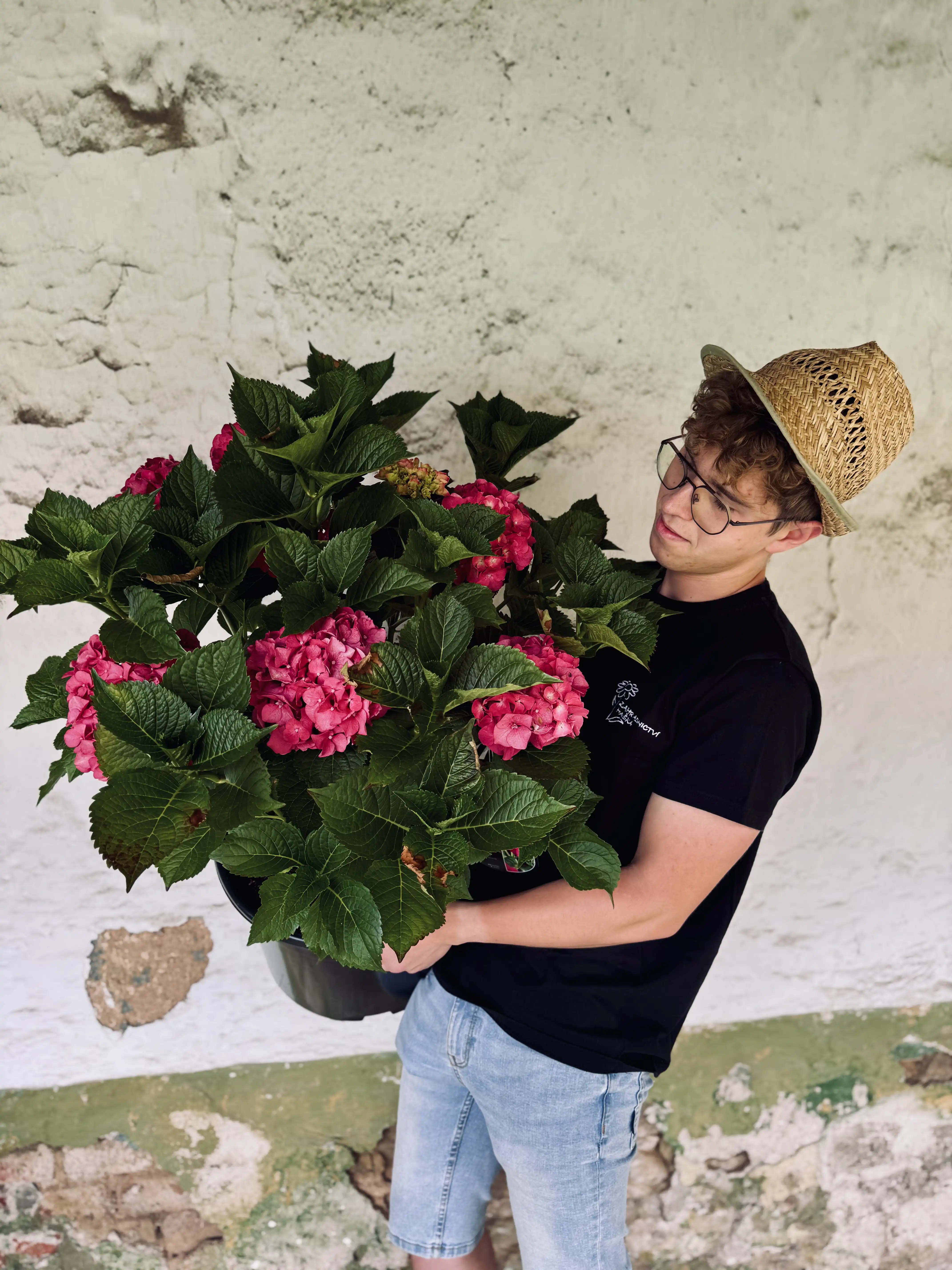 Krása s měnícími se barvami